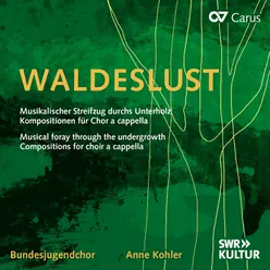 Fußeder: waldeslust: No. 1, waldhochzeit