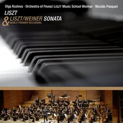 Liszt: Piano Sonata in B Minor, S. 178: III. Andante sostenuto (Arr. for Orchestra by Leo Weiner)