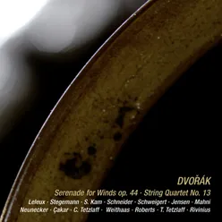 Dvořák: Serenade in D Minor, B. 77: III. Andante con moto Live