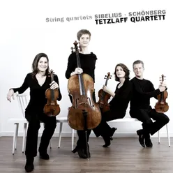 Sibelius: String Quartet in D Minor, Op. 56 "Voces intimae": I. Andante - Allegro molto moderato