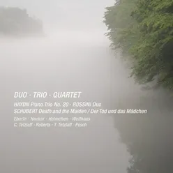 Schubert: String Quartet No. 14 in D Minor, D. 810 "Death and the Maiden": III. Scherzo. Allegro molto Live