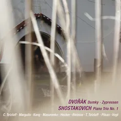 Dvořák: Piano Trio No. 4 in E Minor, B. 166 "Dumky": II. Poco adagio - Vivace non troppo - Poco adagio - Vivace Live