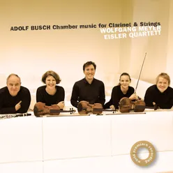 Busch: Serenade for String Quartet in G Major, Op. 14: IV. Tema con variazioni: Allegretto