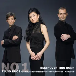 Arensky: Piano Trio No. 1 in D Minor, Op. 32: IV. Finale. Allegro non troppo