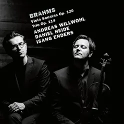 Brahms: Viola Trio, Op. 114: I. Allegro