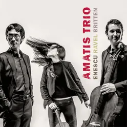 Enescu: Piano Trio in G Minor: I. Allegro molto vivace