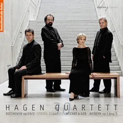 Beethoven: String Quartet No. 8 in E Minor, Op. 59 No. 2 "Rasumovsky": III. Allegretto