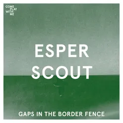 Gaps In The Border Fence