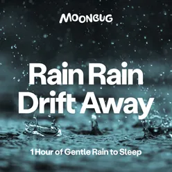 Gentle Rain at Night, Pt. 17
