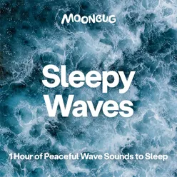 Sleepy Waves 1 Hour of Peaceful Wave Sounds to Sleep