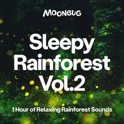 Sleepy Rainforest, Vol. 2 (1 Hour of Relaxing Rainforest Sounds)