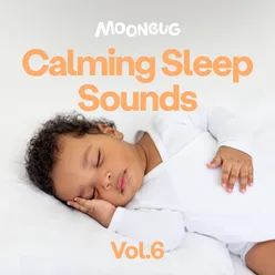 Calming Sleep Sounds, Vol. 6