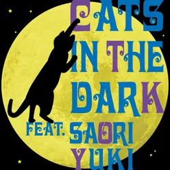 Cats In The Dark