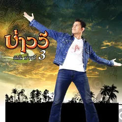 บ่าววี 3