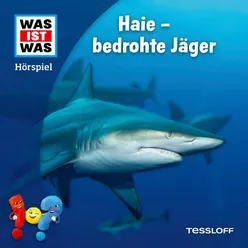 Haie - bedrohte Jäger - Teil 15