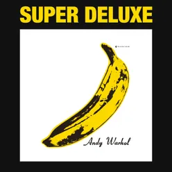 The Velvet Underground & Nico 45th Anniversary