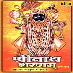 Jai Shrinath Hare- Aarti