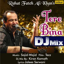 Tere Bina Dj Mix