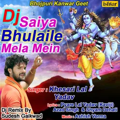 Dj Saiya Bhulaile Mela Mein