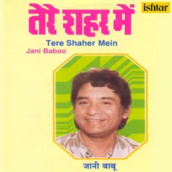 Tere Shaher Mein