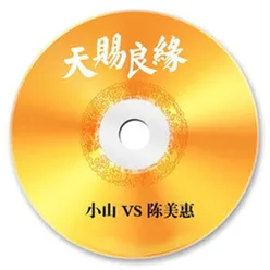 天賜良緣 (DJ版) DJ版