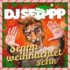 Hallo lieber Weihnachtsmann