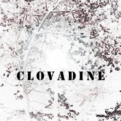 Farewell Foxglove (feat. Clovadine)