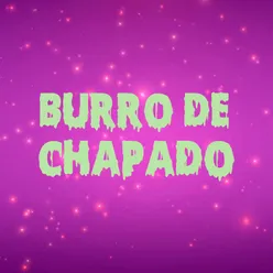 Burro De Chapado (feat. baby internet)