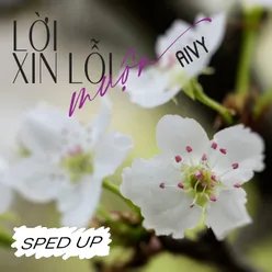 Lời Xin Lỗi Muộn (Sped Up) Sped Up