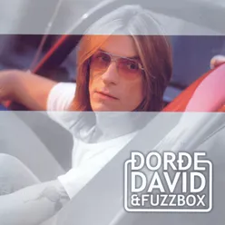Djordje David i Fuzzbox