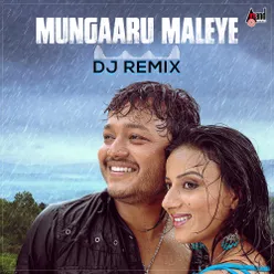 Mungaru Maleye (DJ Remix) DJ Remix