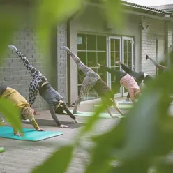 Yoga in a New Age