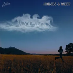 Horses & Weed