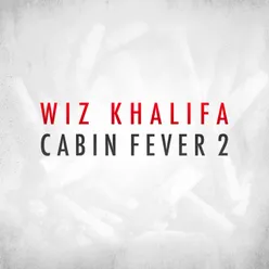 Cabin Fever 2