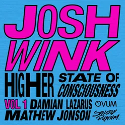 Higher State of Consciousness (Mathew Jonson Remix)