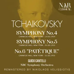 Symphony No. 6 in B Minor, Op. 74, IPT 132: II. Allegro con grazia