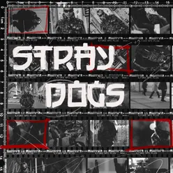 STRAYDOGS (Superior Sessions Live)