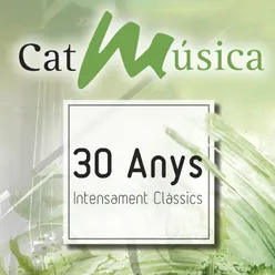 Symphony No. 3, Op. 36: II. Lento e Largo - Tranquillissimo