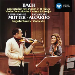 Concerto for Two Violins in D Minor, BWV 1043: II. Largo ma non tanto