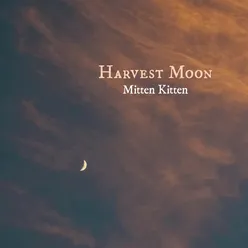 Harvest Moon (Piano Instrumental)