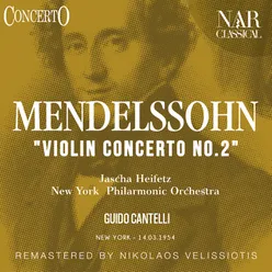 Violin Concerto "Violin Concerto No. 2" in E Minor, Op. 64, IFM 196: II. Andante