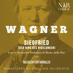 Siegfried, WWV 86C, IRW 44, Act I: "Was zu wissen dir frommt" (Wanderer, Mime)
