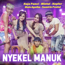 Nyekel Manuk