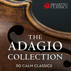 Sonata for Cello and Piano in A Minor, D. 821 "Arpeggione": II. Adagio