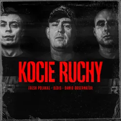 Kocie ruchy