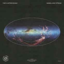 Magellanic Stream