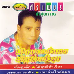 คอยสาวตันหยง