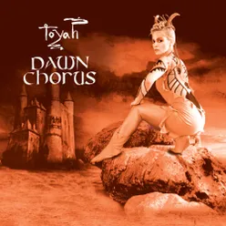 Dawn Chorus (6.55 Special Version)