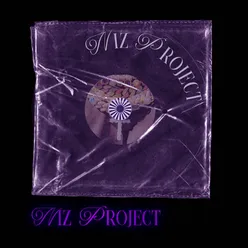 NIZ PROJECT