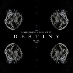 DESTINY (Remix)